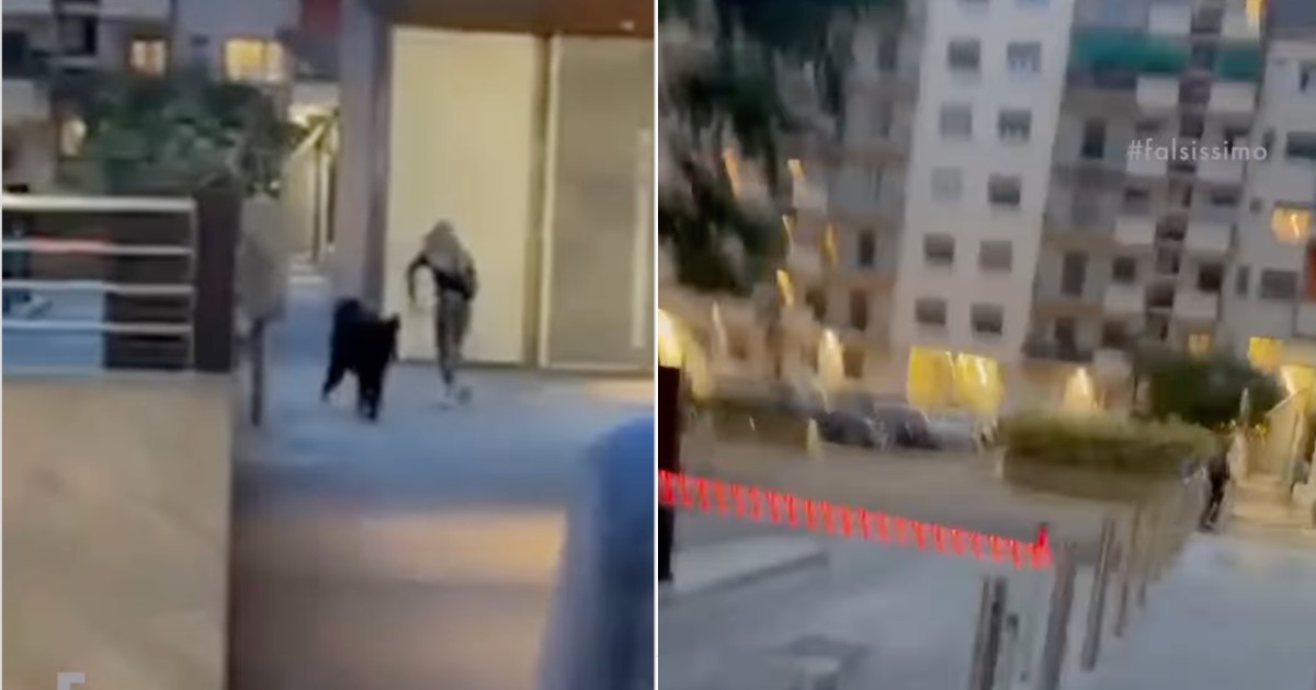 fabrizio corona rincorre stefania cappa per le strade di milano ho intervistato tutti i protagonisti del caso garlasco da Ilfattoquotidiano.it fabrizio corona rincorre stefania cappa per le strade di milano ho intervistato tutti i protagonisti del caso garlasco