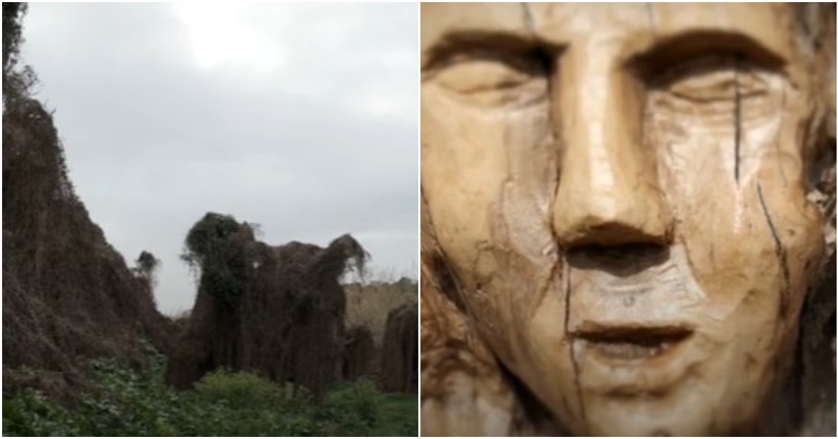 La Paddotta, in un cortometraggio la storia di una zolla di terra (e di radici che affondano nel Salento) La Paddotta, in un cortometraggio la storia di una zolla di terra (e di radici che affondano nel Salento)
