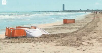 Copertina di Uccisa da ruspa, autista positivo alla cocaina