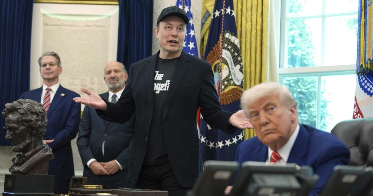 musk cotto e mangiato dalla politica alla casa bianca così il dominatore trump licenzia il suo first buddy da Ilfattoquotidiano.it musk cotto e mangiato dalla politica alla casa bianca così il dominatore trump licenzia il suo first buddy