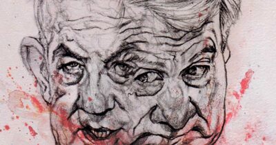 Copertina di La vignetta di Mannelli