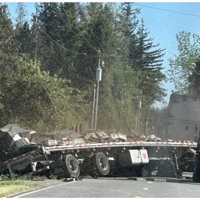 “Evitate la zona, ci sono 250 milioni di api libere in fuga”: camion con a bordo 32 tonnellate di alveari attivi si ribalta, è corsa per salvare i preziosi insetti