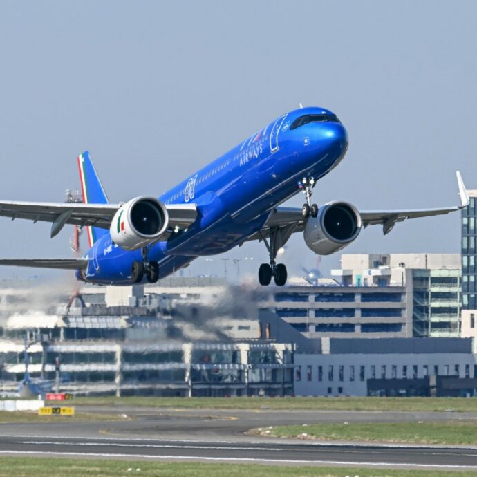 Cani fino a 30 kg senza trasportino a bordo. Ita Airways è la prima compagnia in Europa a permetterlo: ecco come funziona il servizio