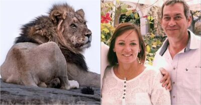 Copertina di Si allontana dalla tenda per fare i bisogni ma viene attaccato e sbranato da una leonessa: Bernd Kebbel muore durante una spedizione naturalistica