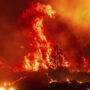 Copertina di Con l’estate riparte l’allerta incendi, ma spegnerli non basta più: i consigli degli esperti per i piani di prevenzione