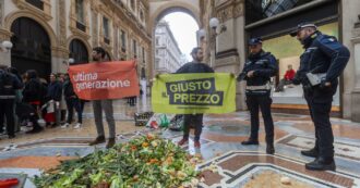 Spreco alimentare, la risoluzione parlamentare di Ultima generazione e M5S: “Obblighi per le aziende e consumatori informati”