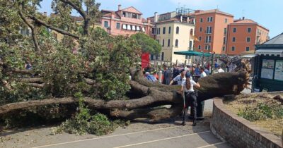 Copertina di Crolla un grosso albero vicino al terminal automobilistico di Venezia: 10 persone ferite, due gravi