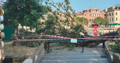 Copertina di Venezia, albero cede e si abbatte sui turisti: 9 feriti, 2 gravi. Ma c’è chi si fa i selfie