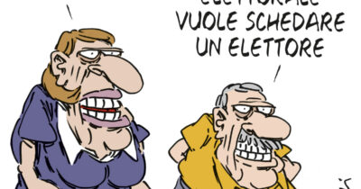 Copertina di La vignetta di Franzaroli