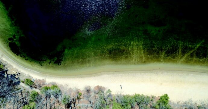 “Into the wild” con Thoreau, il padre dell’ambientalismo