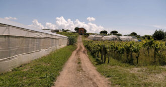 Schiacciato dal muletto con cui stava lavorando: morto operaio di 38 anni in un’azienda agricola del Ravennate