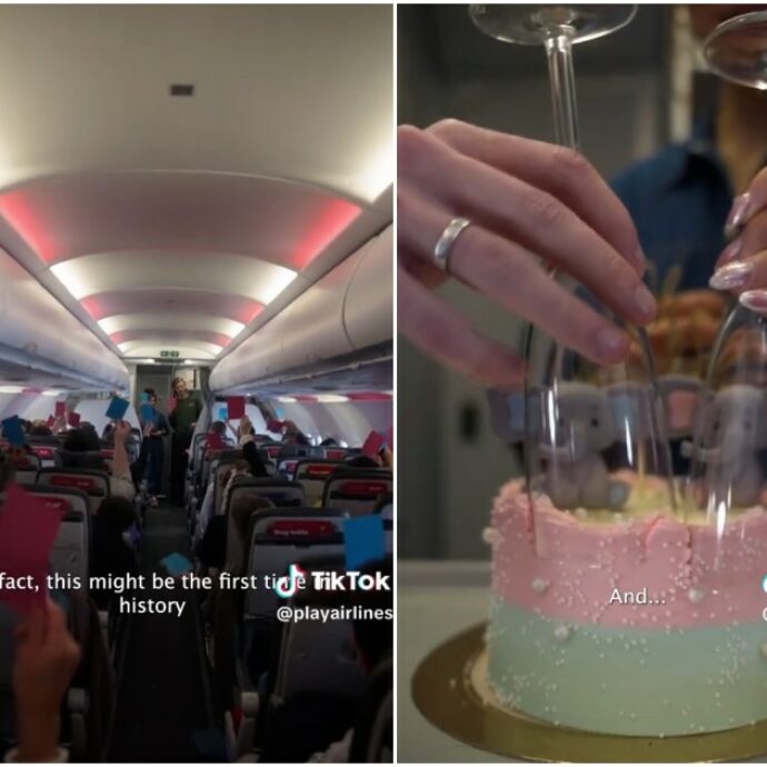 Sarà maschio o femmina? Il gender reveal è tra sconosciuti a 35mila piedi d’altezza: il particolare volo per Parigi – Video