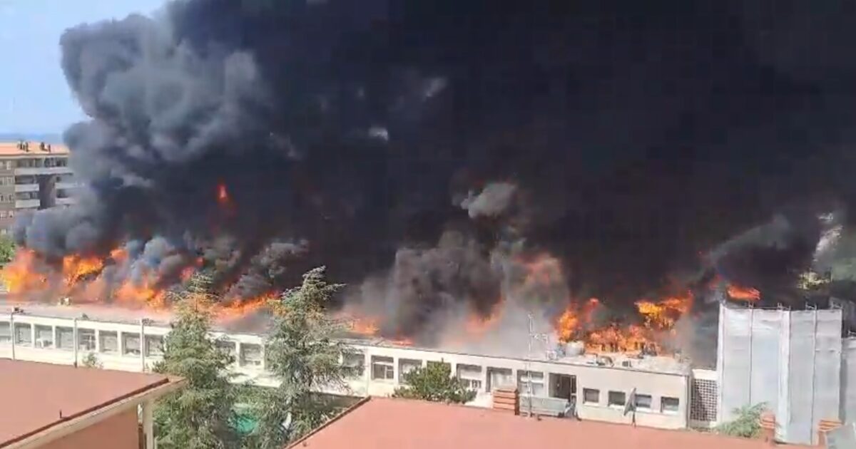 viterbo fiamme all università della tuscia brucia la facoltà di agraria edifici evacuati