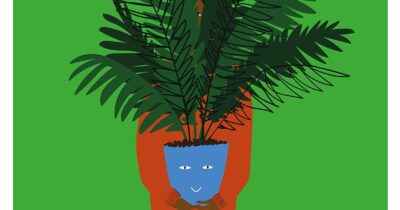 Copertina di Alessandra Viola: le piante ci parlano. Impariamo ad ascoltarle