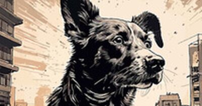 Copertina di ‘Carne di cane’ di Lara Gallet: un viaggio nella dignità degli esclusi