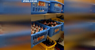 Si spacciava per medico di Giovanni Paolo II e "luminare" dell'autismo: arrestato