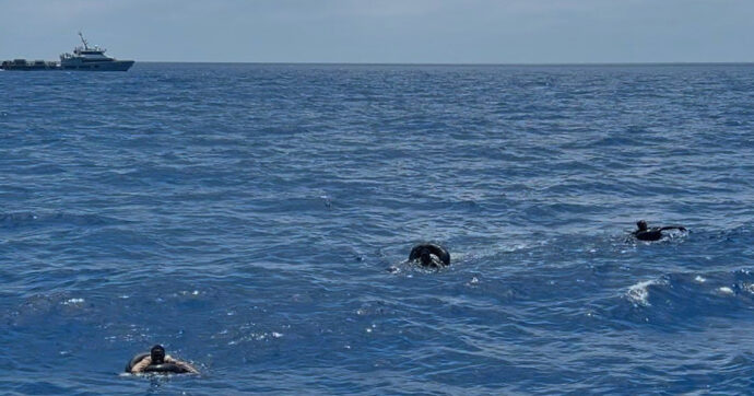 L’agenzia Ue Frontex dietro l’ennesimo respingimento in Libia. Coinvolta la barca di Freedom Flotilla diretta a Gaza
