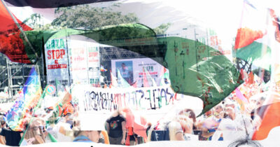 Copertina di La vignetta di Mannelli