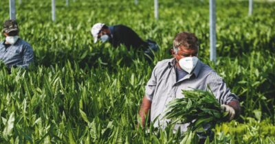 Copertina di Quasi due milioni di “nuovi” cittadini nel Paese di vecchi