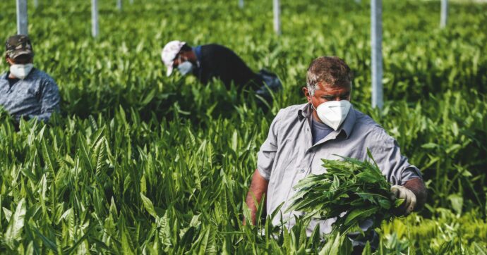 Quasi due milioni di “nuovi” cittadini nel Paese di vecchi