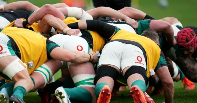 “Colpo di genio” delle Zebre Parma: ingaggiato Albert Einstein