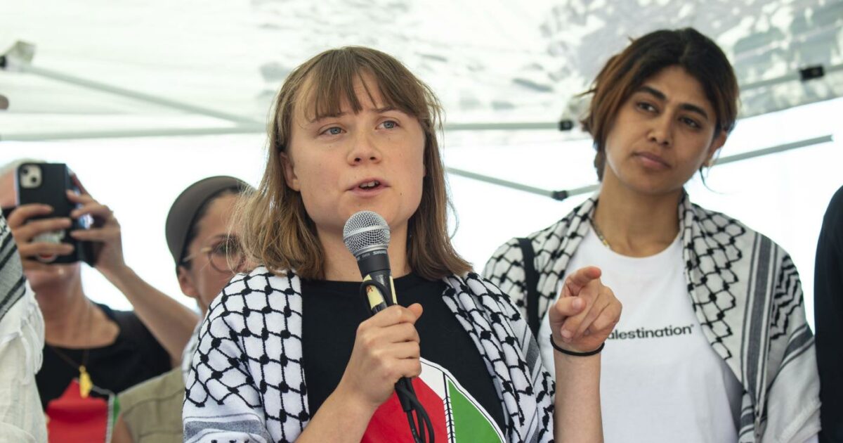 freedom flotilla thunberg rimpatriata 8 attivisti detenuti dopo il rifiuto dell8217espulsione c8217232 anche l8217eurodeputata francese