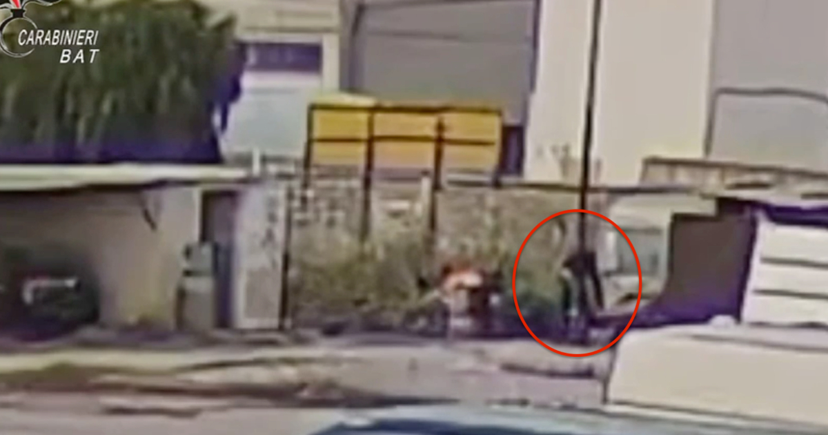morto in un rogo a bisceglie nel video il presunto assassino appicca l8217incendio forse la vittima bruciata viva