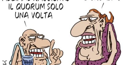 Copertina di La vignetta di Franzaroli