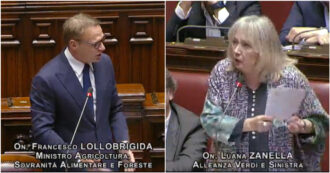 Copertina di Zanella (Avs) a Lollobrigida: “Ha scritto la riforma della caccia insieme ai cacciatori”. Il ministro: “Notizie false”