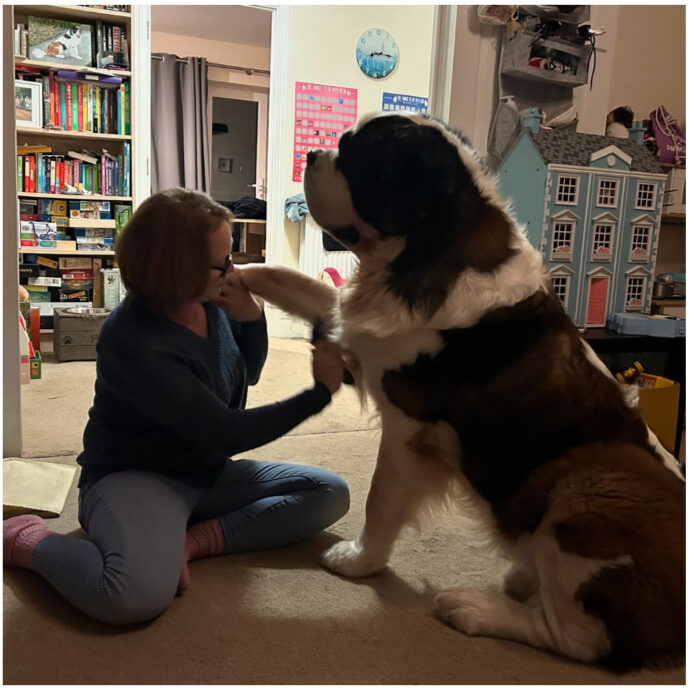 “Il mio cane Hercules è enorme e ha un cancro. La sua terapia però costa 9.500 euro e la nostra famiglia non ce la fa economicamente”: Katie Bridges si sfoga