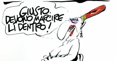 Copertina di La vignetta di Mora