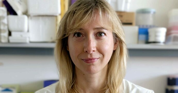 “Dopo Siviglia e Cambridge torno in Italia per fare ricerca. Spero di avere fatto la scelta giusta”