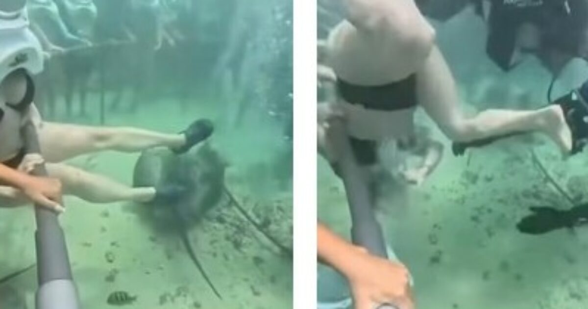 Il casco dell’ossigeno si sfila durante l’escursione subacquea: turista travolta dal panico, l’intervento dei sub – VIDEO