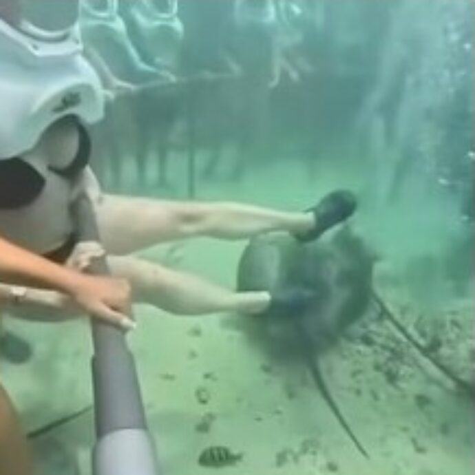 Il casco dell’ossigeno si sfila durante l’escursione subacquea: turista travolta dal panico, l’intervento dei sub – VIDEO