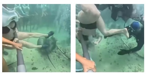 Il casco dell’ossigeno si sfila durante l’escursione subacquea: turista travolta dal panico, l’intervento dei sub – VIDEO Il casco dell’ossigeno si sfila durante l’escursione subacquea: turista travolta dal panico, l’intervento dei sub – VIDEO