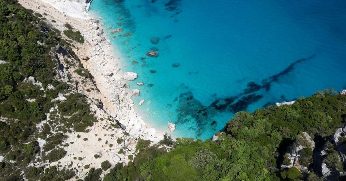 mar mediterraneo gi224 bollente come ad agosto eventi meteo estremi pi249 probabili e specie marine a rischio