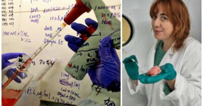 Copertina di Microtubuli con codici a barre, una “rivoluzione” per diagnosi e farmaci intelligenti. Lo studio
