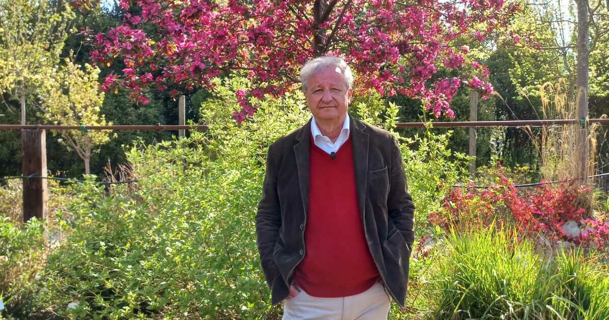 Il recupero parallelo dell’architetto Andrea Mati: salvare una pianta per salvare una persona Il recupero parallelo dell’architetto Andrea Mati: salvare una pianta per salvare una persona