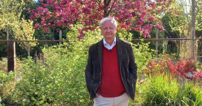 Il recupero parallelo dell’architetto Andrea Mati: salvare una pianta per salvare una persona