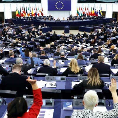 Copertina di Il Parlamento Ue vota su cani e gatti, non su Bibi