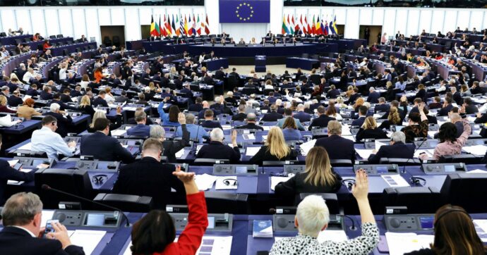 Il Parlamento Ue vota su cani e gatti, non su Bibi