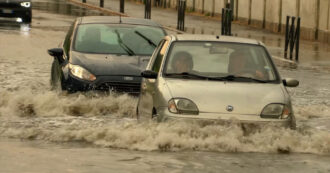 Copertina di Forte temporale e vento a Monza: allagamenti, tetti divelti e alberi caduti – Le immagini