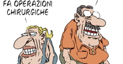 Copertina di La vignetta di Franzaroli