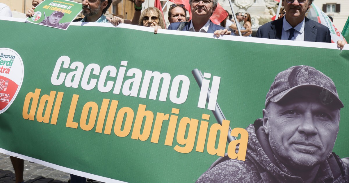 La caccia non è un diritto ma una concessione: assurdo doverlo ricordare ai politici! La caccia non è un diritto ma una concessione: assurdo doverlo ricordare ai politici!
