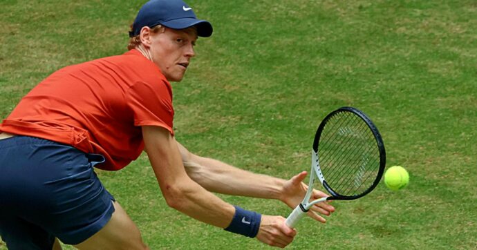 Sinner torna in campo: oggi l’esordio sull’erba ad Halle contro Hanfmann (dopo la sconfitta con Sonego)