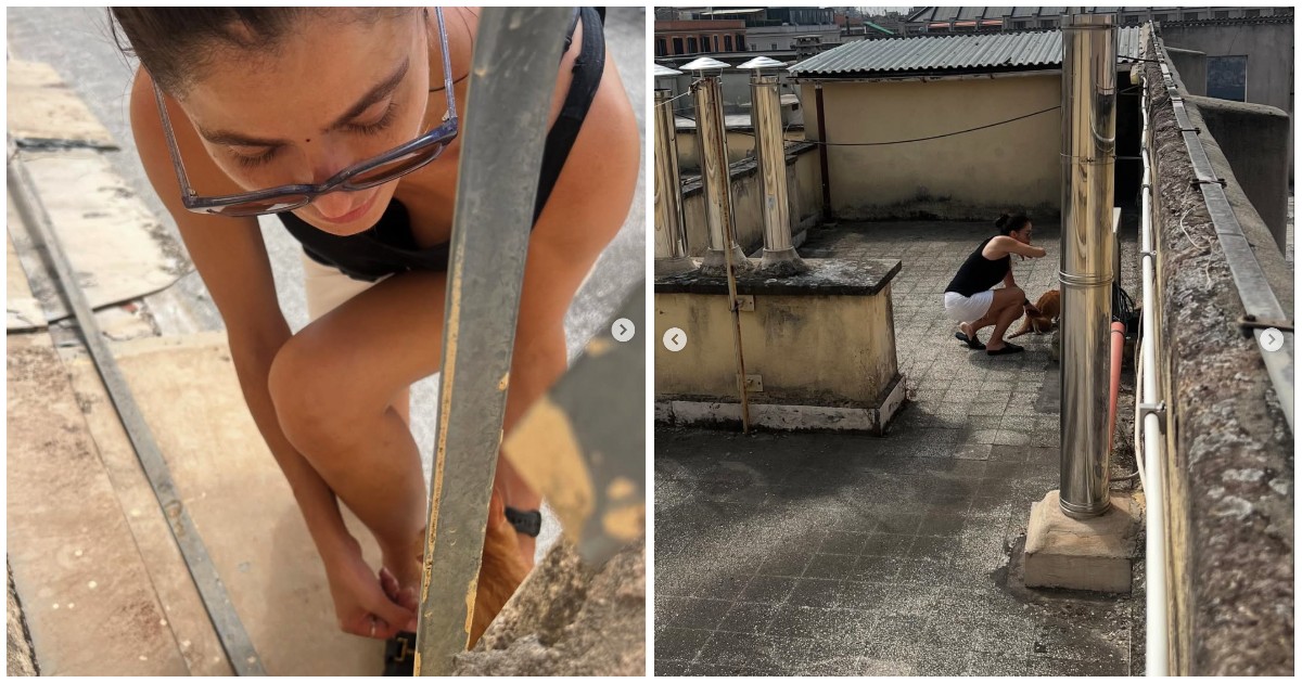ho urlato il suo nome per tutta la notte ho perso dieci anni di vita quando l8217ho ritrovato l8217ho massacrato di insulti e amore lo spavento di veronica gentili per il gatto palmiro