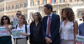 Copertina di Cannabis light, il sit-in degli imprenditori che hanno perso il lavoro per colpa del dl Sicurezza: “Trattati da narcotrafficanti”