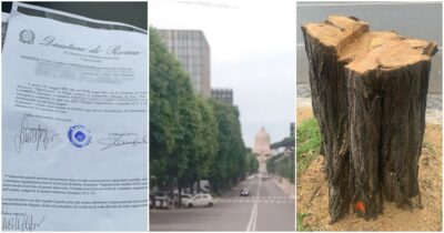 Copertina di Identificati e denunciati per aver difeso il verde urbano: succede a Roma ed è inquietante