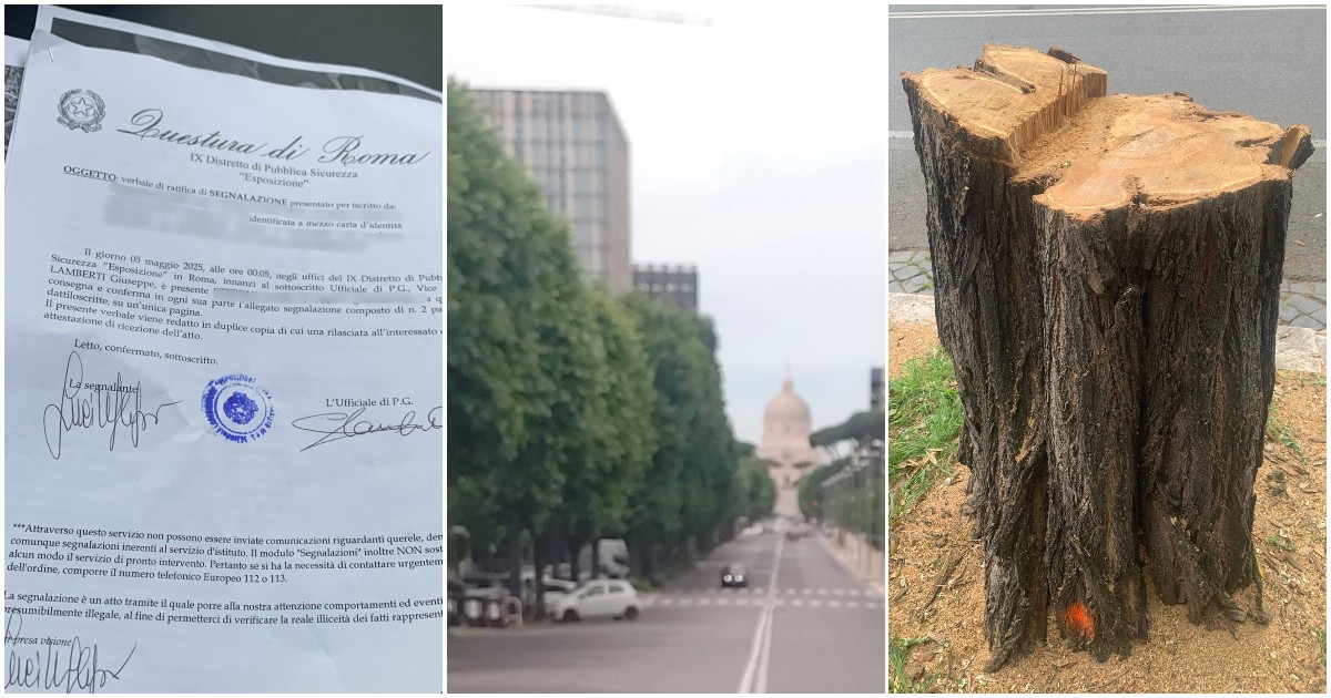 Identificati e denunciati per aver difeso il verde urbano: succede a Roma ed è inquietante