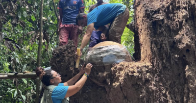Copertina di Enormi urne sferiche contenenti resti umani e di tartarughe sono state trovate sepolte in Amazzonia